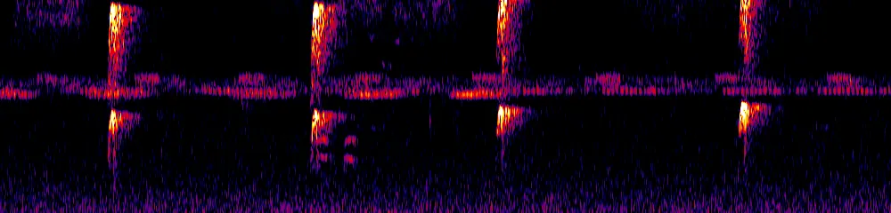 Sonogram of Anabacerthia striaticollis, 300 Hz to 6.5 kHz