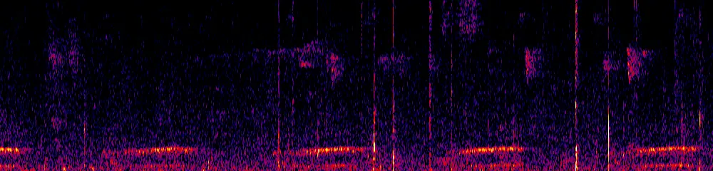 Sonogram of Andigena nigrirostris, 700 Hz to 11.0 kHz