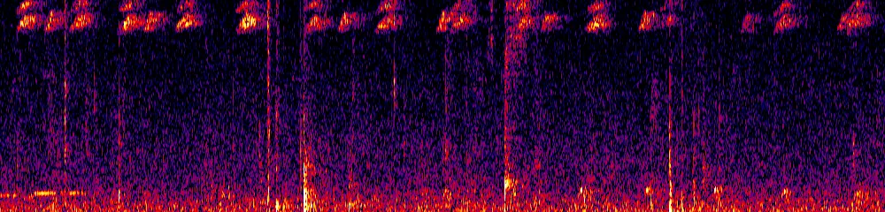 Sonogram of Aulacorhynchus albivitta, 700 Hz to 11.0 kHz