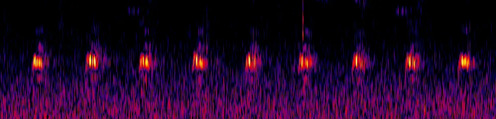 Sonogram of Aulacorhynchus haematopygus, 150 Hz to 2.6 kHz