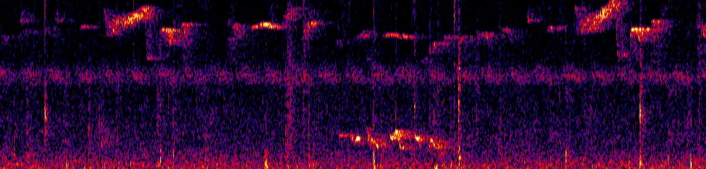 Sonogram of Cyclarhis nigrirostris, 700 Hz to 11.0 kHz