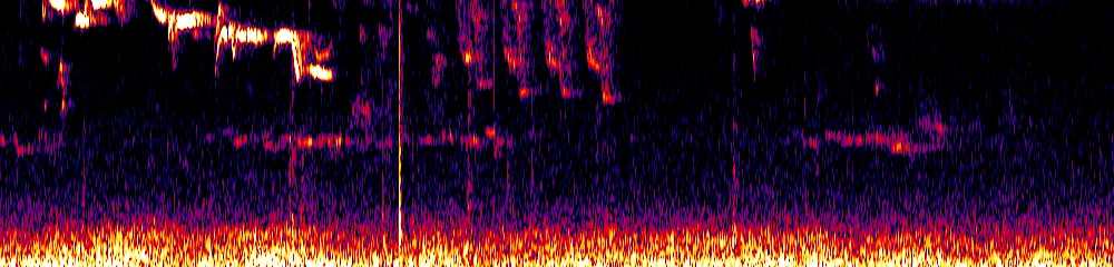 Sonogram of Iridosornis porphyrocephalus, 300 Hz to 6.5 kHz
