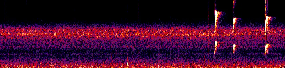 Sonogram of Leptopogon superciliaris, 700 Hz to 11.0 kHz