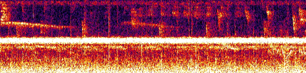 Sonogram of Pachysylvia semibrunnea, 700 Hz to 11.0 kHz