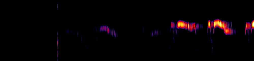 Sonogram of Pharomachrus auriceps, 150 Hz to 2.6 kHz
