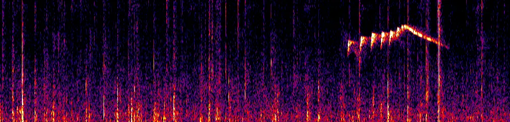 Sonogram of Pipreola riefferii, 700 Hz to 11.0 kHz