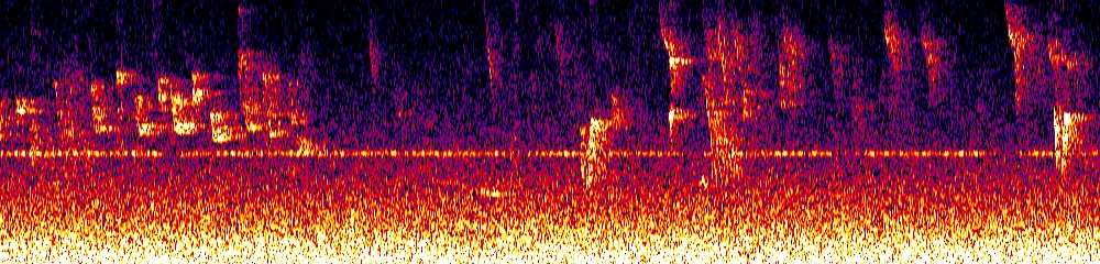 Sonogram of Pogonotriccus ophthalmicus, 700 Hz to 11.0 kHz