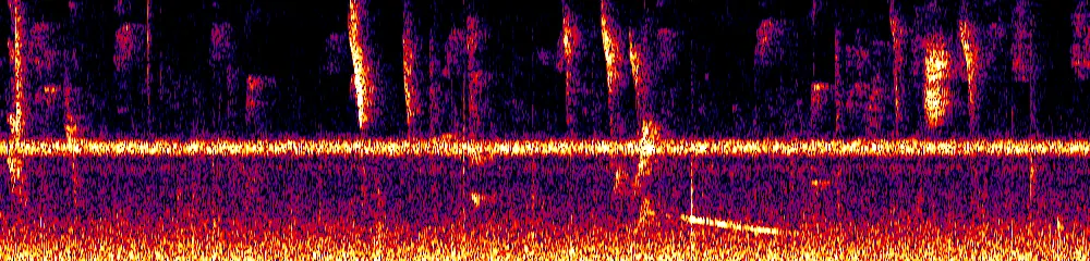 Sonogram of Saltator atripennis, 700 Hz to 11.0 kHz
