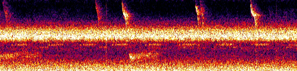 Sonogram of Tangara arthus, 700 Hz to 11.0 kHz